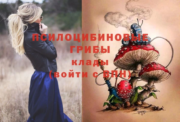 бошки Россошь