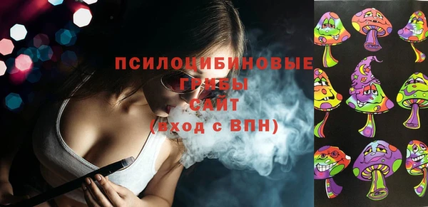 сатива Козельск