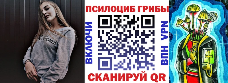 где продают наркотики  kraken зеркало  Галлюциногенные грибы GOLDEN TEACHER  Кинешма 